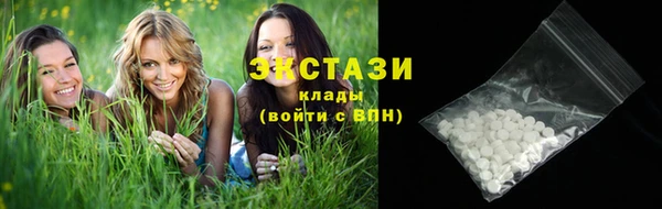 индика Вязьма