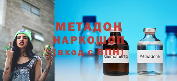 ПСИЛОЦИБИНОВЫЕ ГРИБЫ Горняк