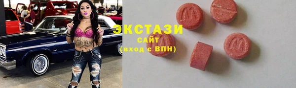 индика Вязьма