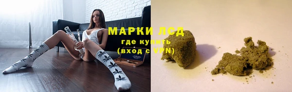 ПСИЛОЦИБИНОВЫЕ ГРИБЫ Горняк