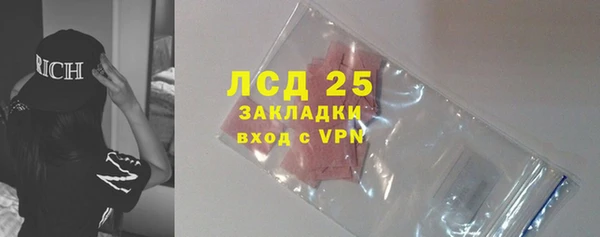 ПСИЛОЦИБИНОВЫЕ ГРИБЫ Горняк