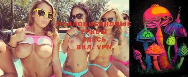 ПСИЛОЦИБИНОВЫЕ ГРИБЫ Горняк