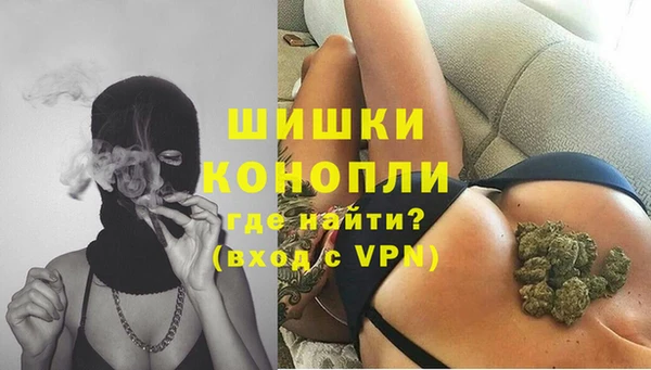 ПСИЛОЦИБИНОВЫЕ ГРИБЫ Горняк