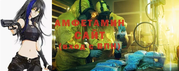 индика Лабытнанги