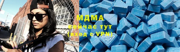 индика Вязьма