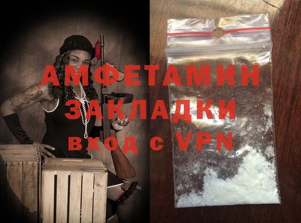 ПСИЛОЦИБИНОВЫЕ ГРИБЫ Горняк