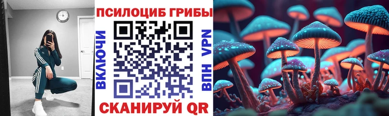 ОМГ ОМГ как зайти  Десногорск  Псилоцибиновые грибы Magic Shrooms 